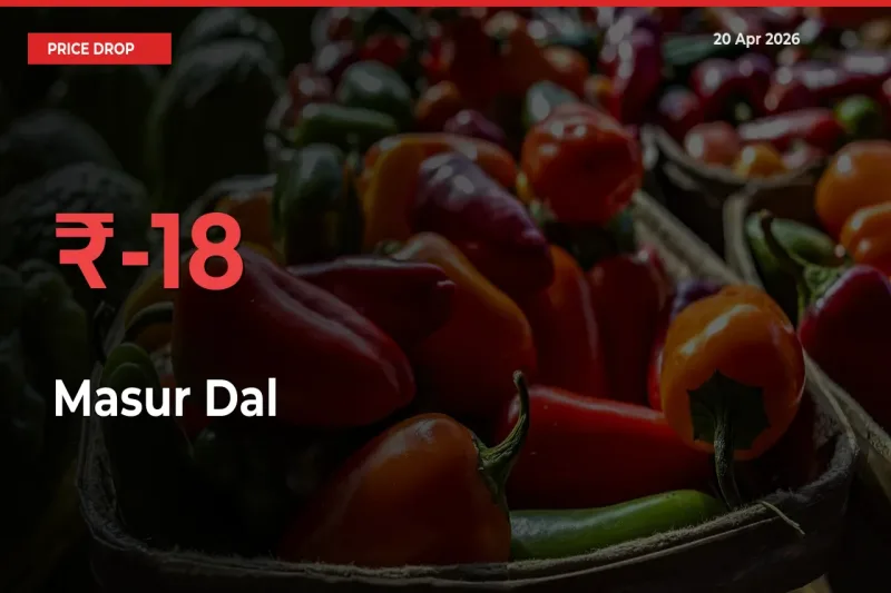 Farmers Alert as Masur Dal Prices Slide 18.47% in Local Mandis