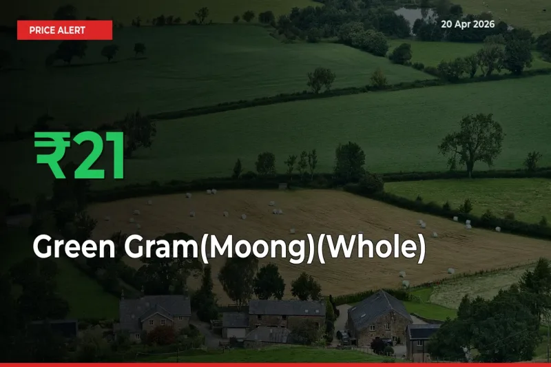 Farmers Cheer as Green Gram(Moong)(Whole) Prices Surge 20.98% in Local Mandis