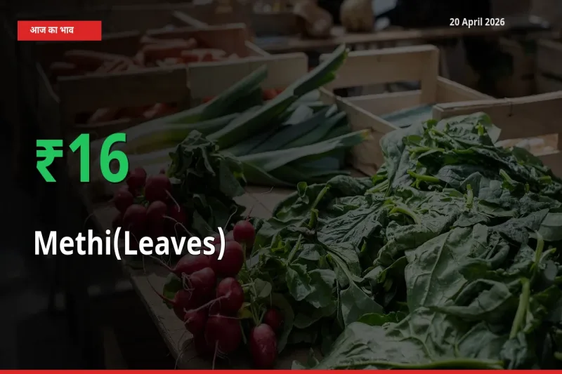 हरी मेथी 15.92% उछला, मंडी