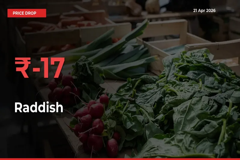 Raddish Prices Drop 16.73% in 24 Hours at Major Mandis