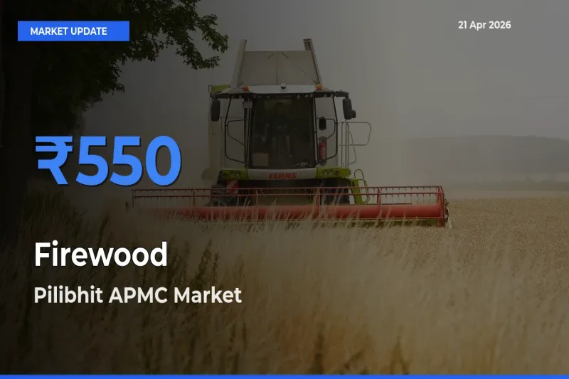 Pilibhit APMC Tops Firewood Rates – April 21 Market Update