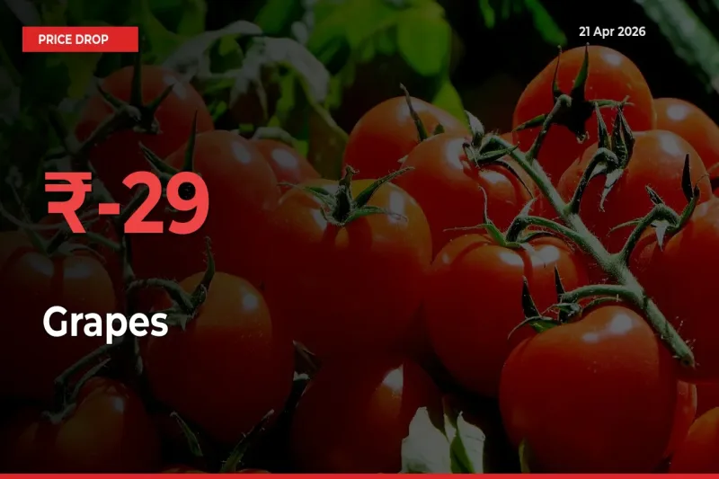 28.9% Drop in Grapes Prices – Mandi Sees Sudden Fall