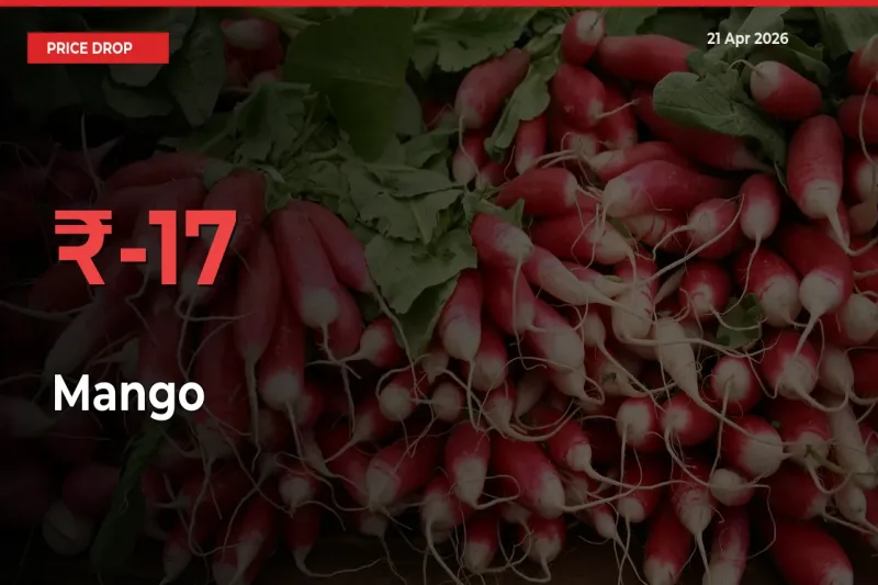 Why Mango Prices Fell 16.78% in a Day at Mandis