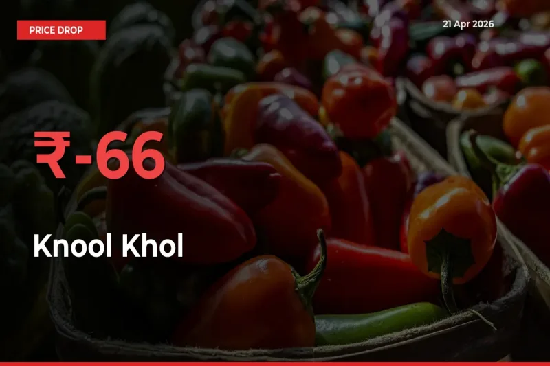 Knool Khol Prices Drop 65.66% – April 21 Market Update from Mandis