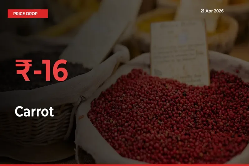 Sharp Fall! Carrot Prices Plunge 15.99% in a Day at Key Mandis