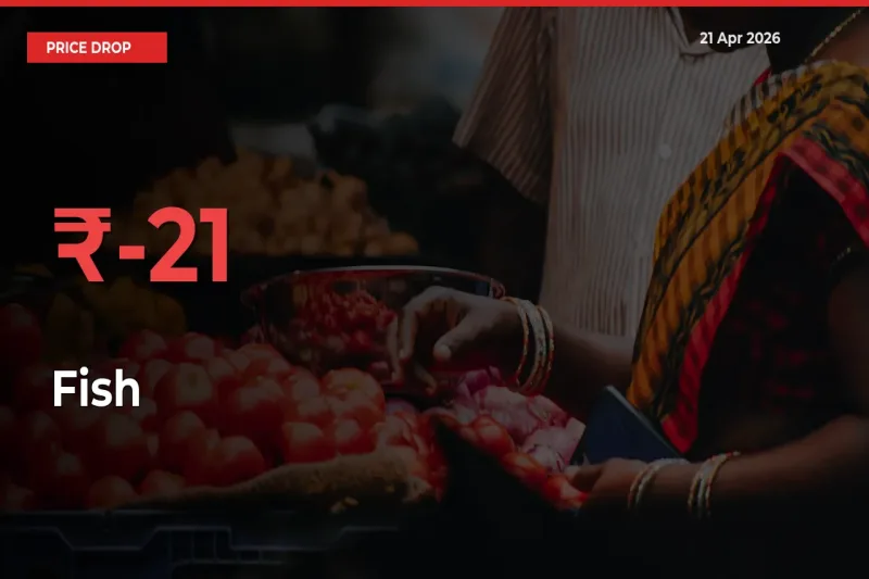 This Mandi Records 20.84% Fall in Fish Prices