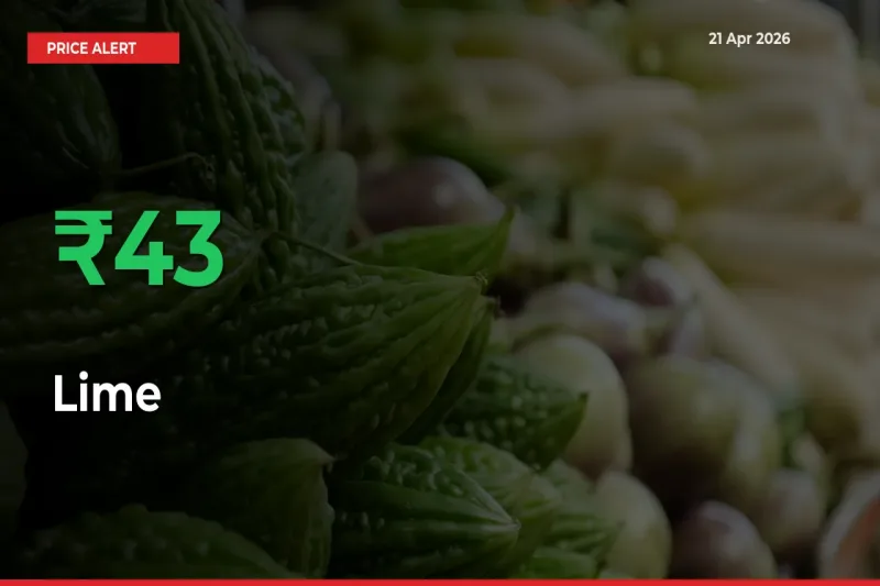 Lime Rises 42.66% at Mandis