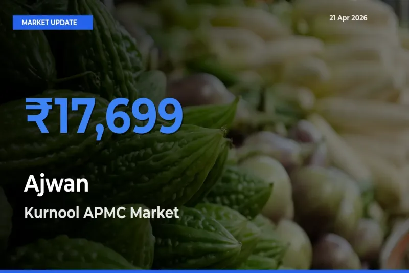 Ajwan Mandi Rate Today: Kurnool APMC Tops the List