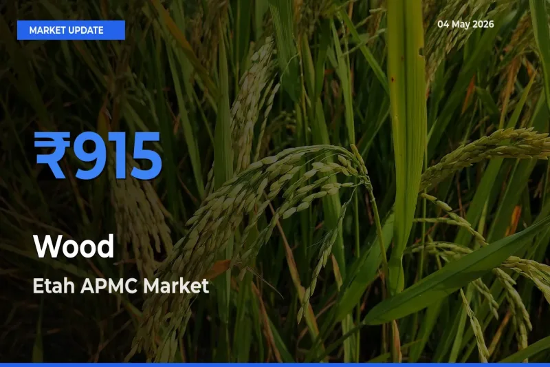 Etah APMC Tops Wood Mandi Rates Today