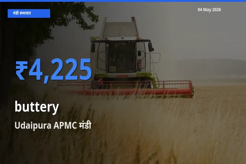 Udaipura APMC मंडी में कोमलता से ₹4,225 पर पहुँचा – आज का सर्वोच्च भाव