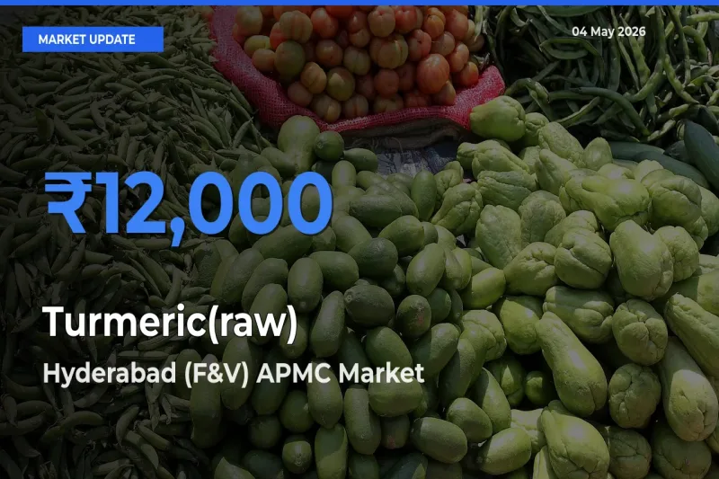 Hyderabad (F&V) APMC Records Highest ₹12,000 Rate for Turmeric(raw)