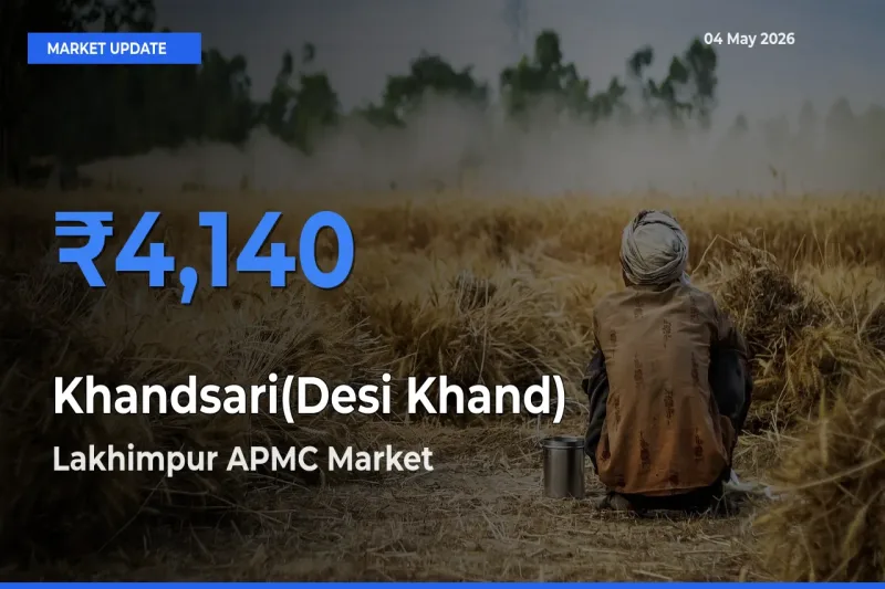 Lakhimpur APMC Offers ₹4,140 – Highest Khandsari(Desi Khand) Rate Today