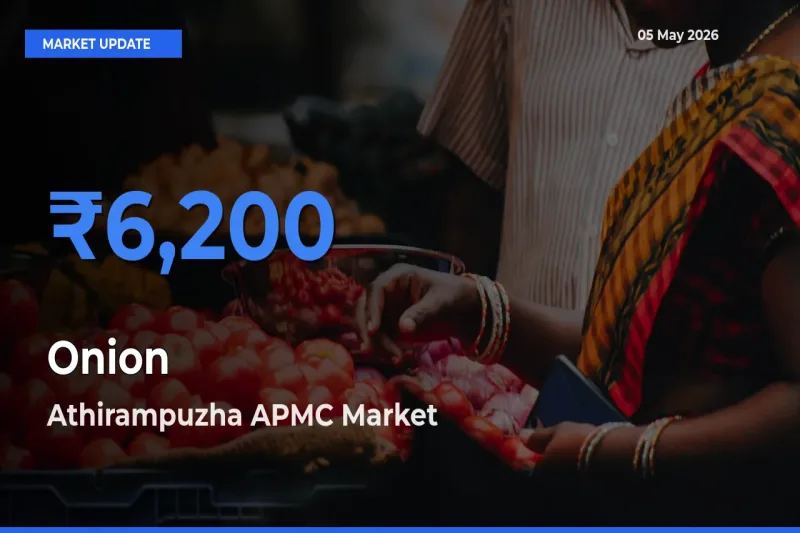 Onion Mandi Rate Today: Athirampuzha APMC Tops the List