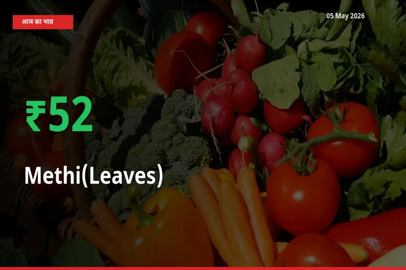 स्थानीय मंडी में हरी मेथी के दाम अचानक 52.07% उछले, किसान सतर्क