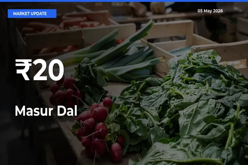 Masur Dal Rates Show Broad Movement Across 20+ Mandis
