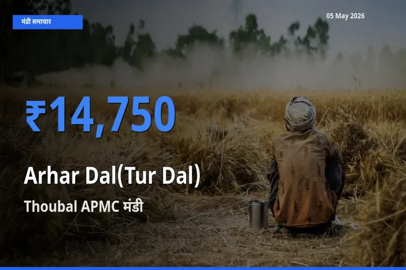 Thoubal APMC में अरहर दाल का आज सबसे ऊँचा भाव