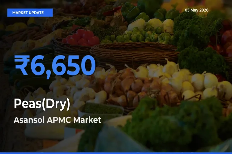 Farmers Prefer Asansol APMC as Peas(Dry) Hits Highest Rate