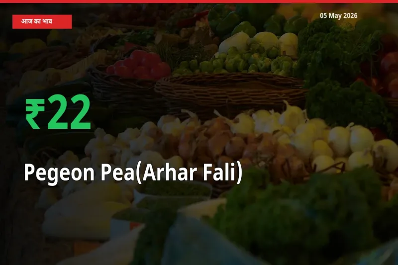 अरहर फली 22.42% उछला, मंडी