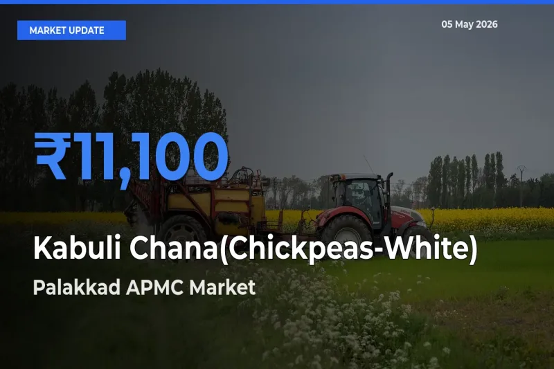 Palakkad APMC Tops Kabuli Chana(Chickpeas-White) Mandi Rates Today