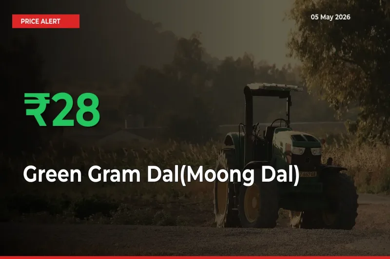 Green Gram Dal(Moong Dal) Mandi Rate Today: Prices Jump 27.87% at Market