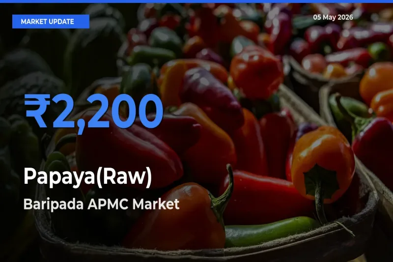 Farmers Prefer Baripada APMC as Papaya(Raw) Hits Highest Rate