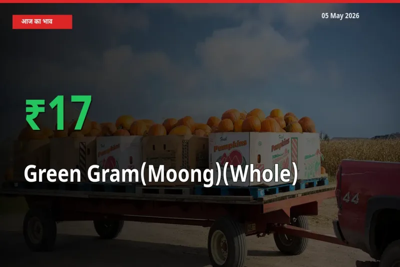 साबुत मूंग 17.46% उछला, मंडी