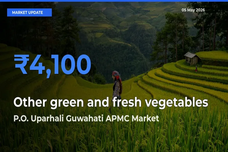 P.O. Uparhali Guwahati APMC Tops Other green and fresh vegetables Rates – May 05 Market Update