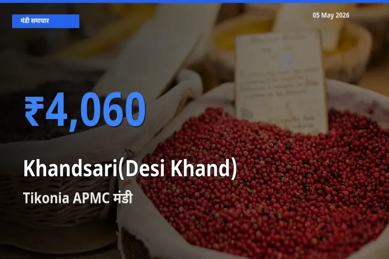 Tikonia APMC मंडी में देसी खांड ₹4,060 पर पहुँचा – आज का सर्वोच्च भाव