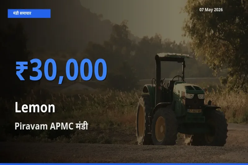 किसानों की पसंद बना Piravam APMC, नींबू के सबसे अच्छे दाम