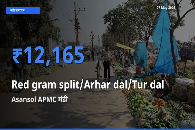 07 May अपडेट: Red gram split/Arhar dal/Tur dal के सबसे ऊँचे दाम Asansol APMC मंडी में
