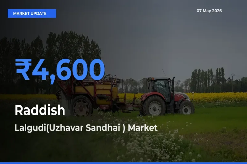 Lalgudi(Uzhavar Sandhai ) Tops Raddish Rates – May 07 Market Update