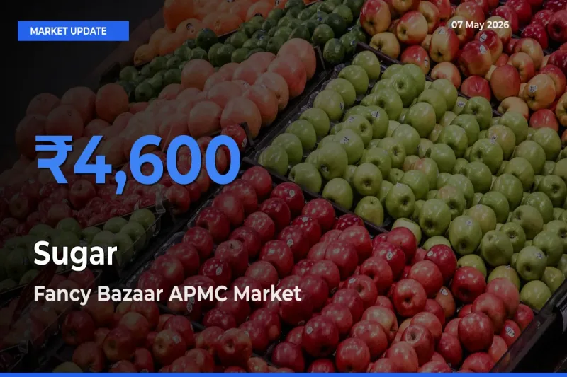 Fancy Bazaar APMC Leads as Top Mandi for Sugar Prices