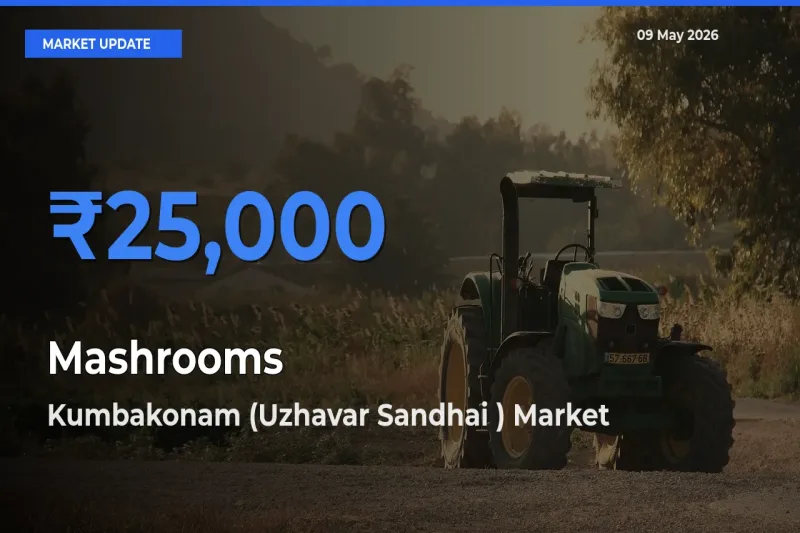 Kumbakonam (Uzhavar Sandhai ) Emerges as Top Mandi for Mashrooms Prices Today
