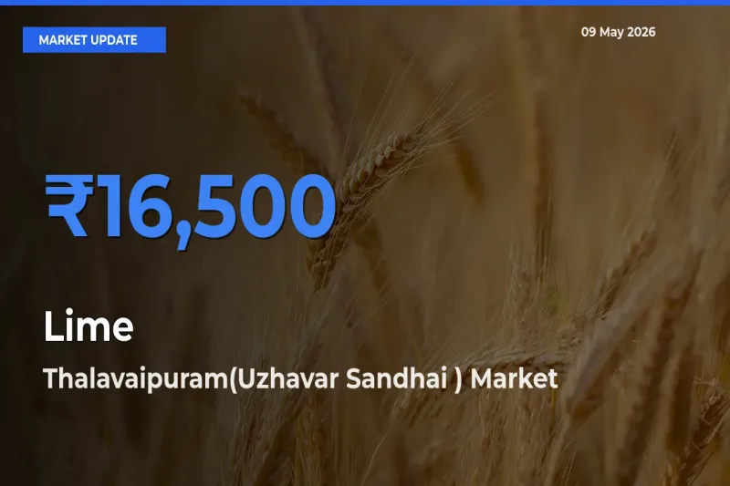 Thalavaipuram(Uzhavar Sandhai ) Tops Lime Mandi Rates Today
