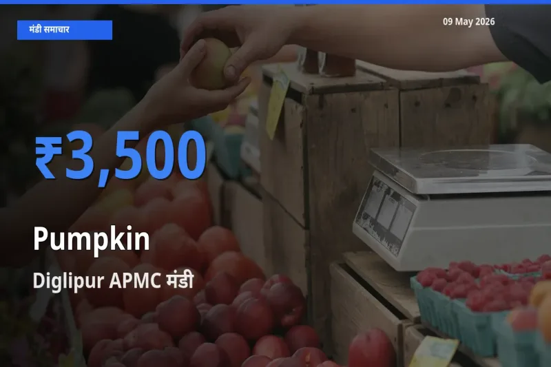 Diglipur APMC मंडी में कद्दू ₹3,500 पर पहुँचा – आज का सर्वोच्च भाव