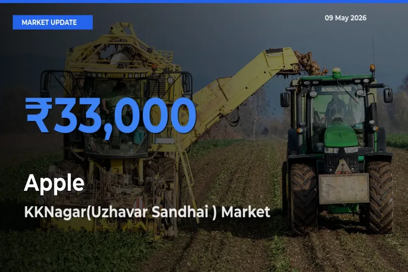 Market Watch: KKNagar(Uzhavar Sandhai ) Becomes Top Mandi for Apple