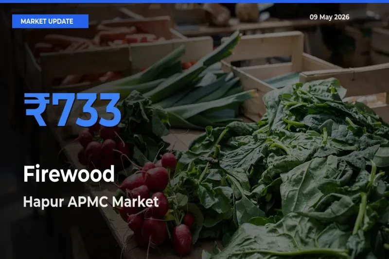 Hapur APMC Leads as Top Mandi for Firewood Prices
