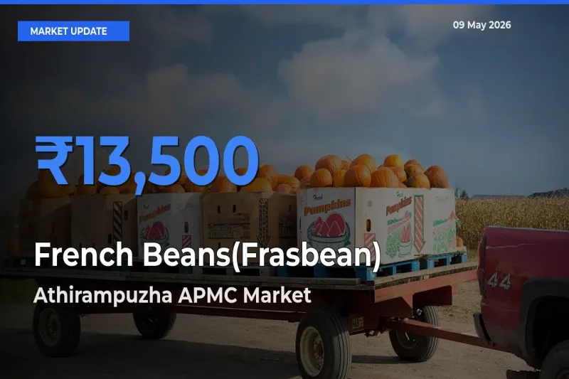 Farmers Prefer Athirampuzha APMC as French Beans(Frasbean) Hits Highest Rate