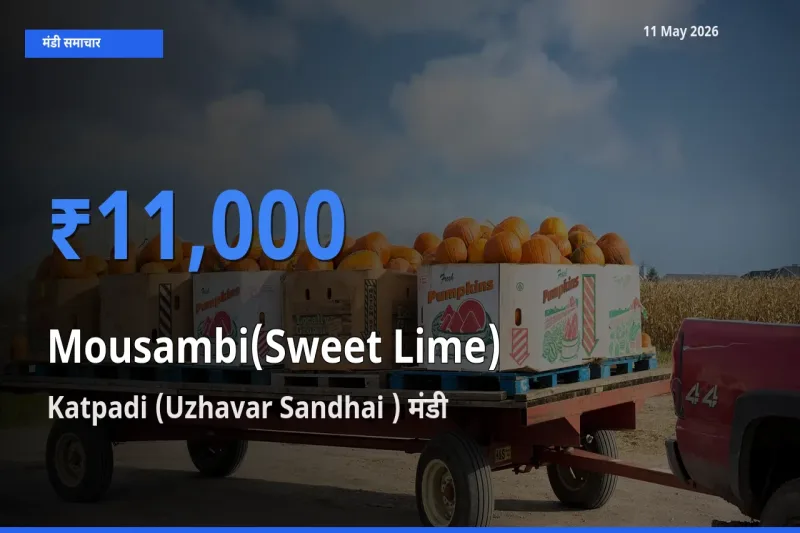 11 May अपडेट: मौसंबी के सबसे ऊँचे दाम Katpadi (Uzhavar Sandhai ) मंडी में