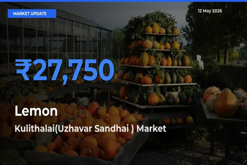 Top Performer! Kulithalai(Uzhavar Sandhai ) Offers Best Lemon Price Today