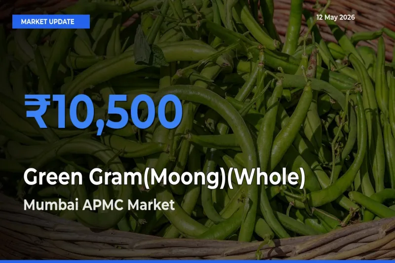 Green Gram(Moong)(Whole) Mandi Rate Today: Mumbai APMC Tops the List