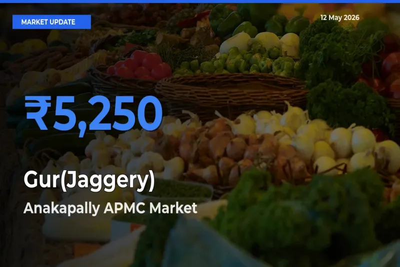 Anakapally APMC Emerges as Top Mandi for Gur(Jaggery) Prices Today