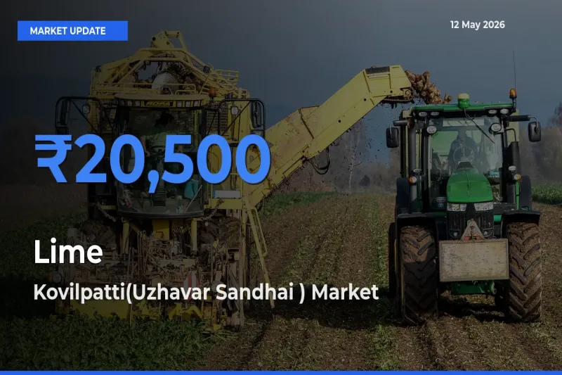 Kovilpatti(Uzhavar Sandhai ) Tops Lime Mandi Rates Today