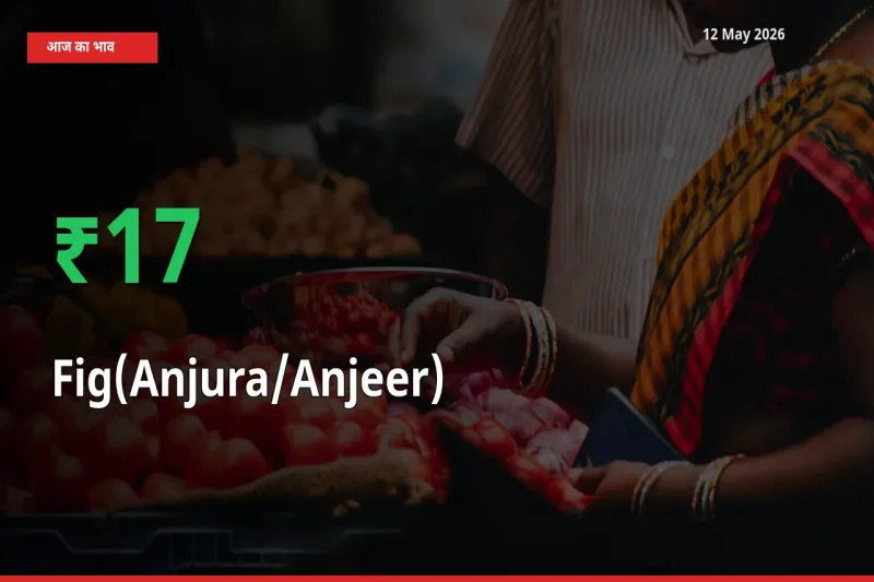 12 May अपडेट: अंजीर के दाम मंडी में 17% उछले