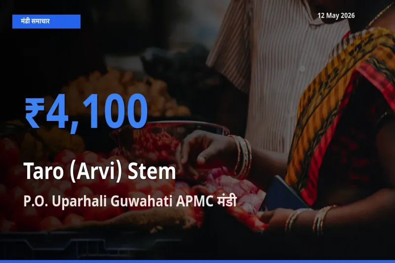 किसानों की पसंद बना P.O. Uparhali Guwahati APMC, अरबी डंठल के सबसे अच्छे दाम