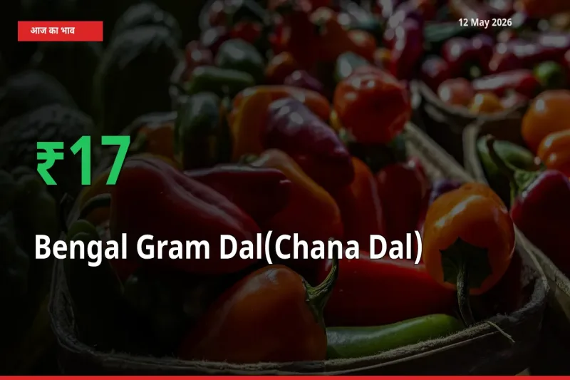 तेज़ तेजी! मंडी में चना दाल के दाम 17.32% चढ़े