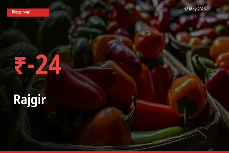 12 May अपडेट: राजगीर के दाम मंडी में 24.44% गिरे