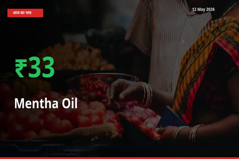 मेंथा ऑयल के दाम प्रमुख मंडी में 33.36% बढ़े, 24 घंटे में बड़ा बदलाव