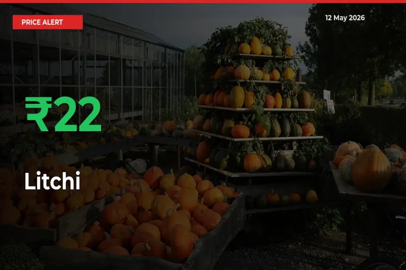 Litchi Mandi Rate Today: Prices Jump 21.95% at Market