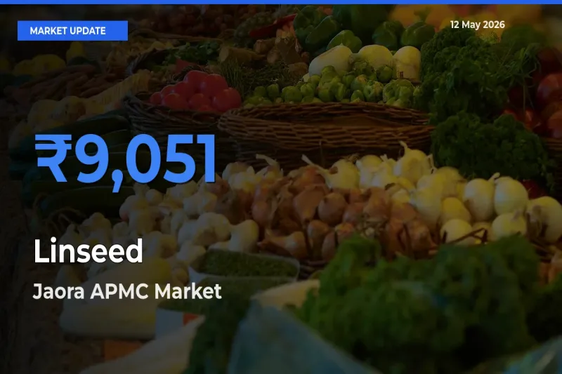 Linseed Mandi Rate Today: Jaora APMC Tops the List